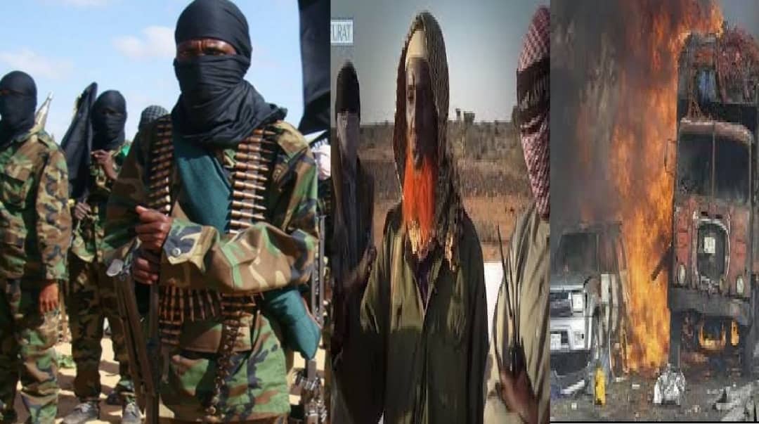 تنظيم القاعدة وداعش في الصومال وجهان لعملة واحدة