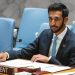 الإمارات تدعو إلى دعم الصومال في التصدي لـ«الشباب» الإرهابية
