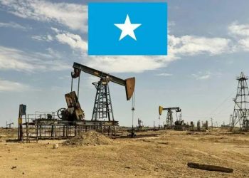 النموّ الاقتصادي الصومالي والتفاؤل بمستقبل باهر