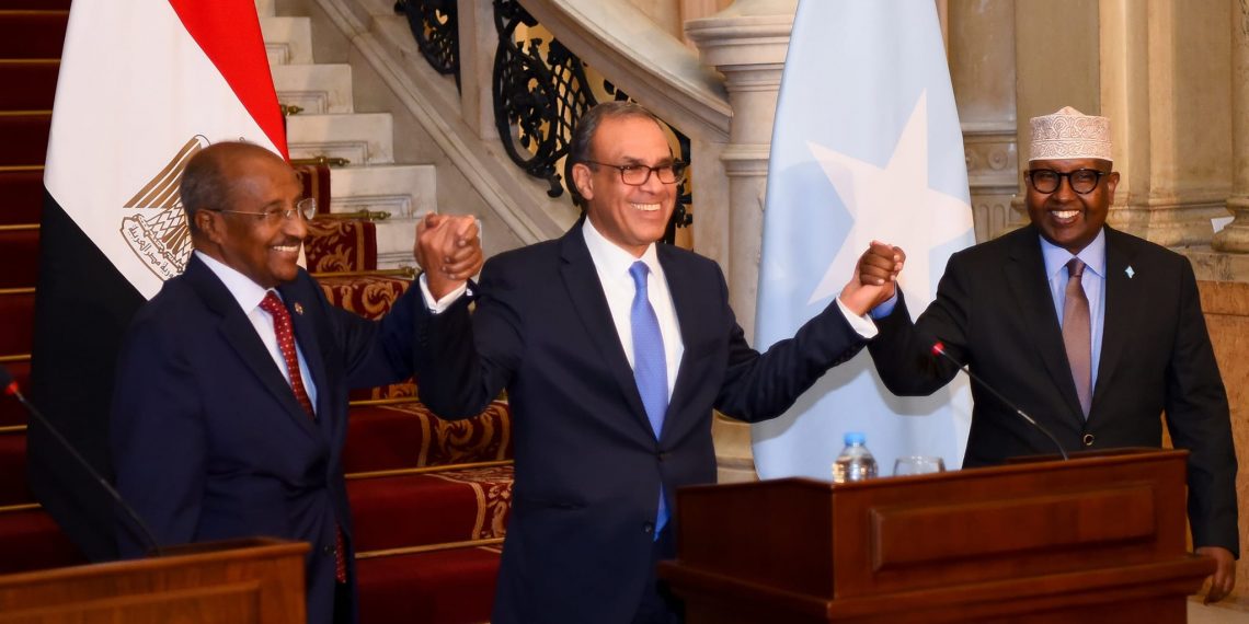 توافق مصري صومالي إريتري على ضرورة حفظ أمن البحر الأحمر