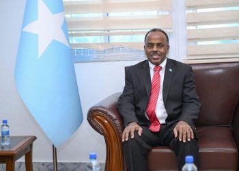 العلاقات الصومالية الاماراتية تشهد تطورا
