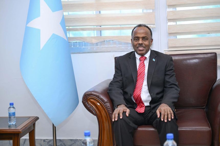 العلاقات الصومالية الاماراتية تشهد تطورا