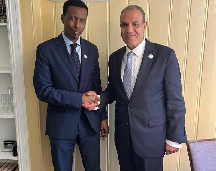 لقاء وزير الخارجية المصري ومستشار الأمن القومي الصومالي: تعزيز الشراكة بين البلدين