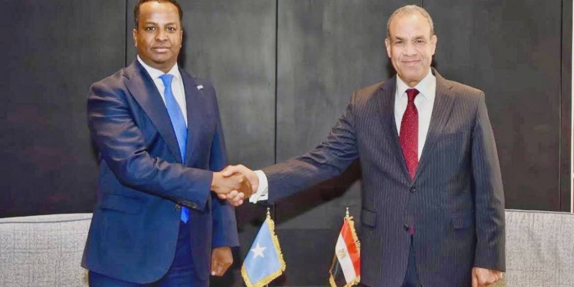 وزير الخارجية الصومالي يبحث تعزيز العلاقات مع نظيره المصري في منتدى أسوان