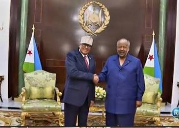 أزمة جوازات السفر تفجّر توترًا دبلوماسيًا غير مسبوق بين جيبوتي وصومالي لاند