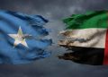 عاجل: مجلس الوزراء الصومالي يقرر إلغاء اتفاقيات التعاون الأمني والدفاعي مع الإمارات