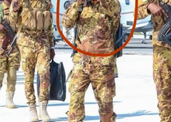 الفصل: المعارضة الهجينة – بين السياسة والقوة الرمزية