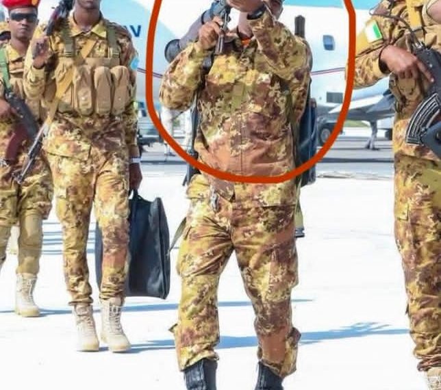 الفصل: المعارضة الهجينة – بين السياسة والقوة الرمزية